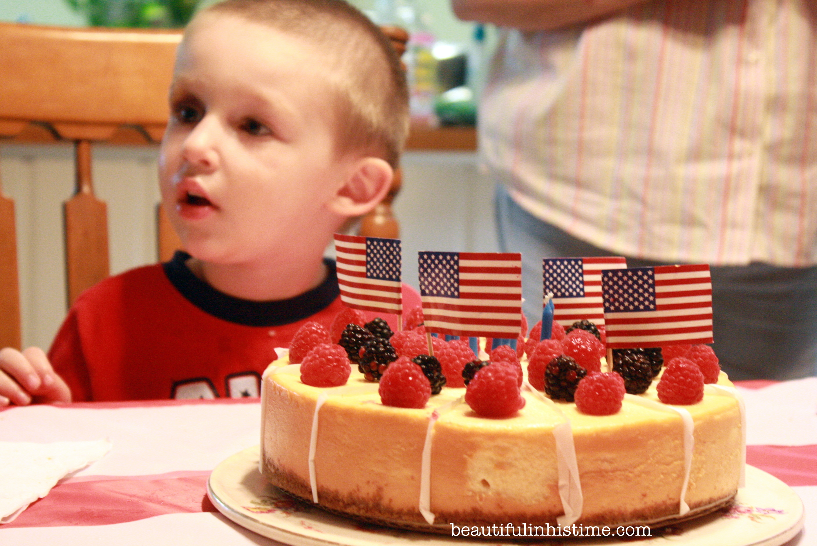 A Birthday Party for America! #birthday #america #4thofjuly #independenceday #party #birthdayparty #birthdaycake
