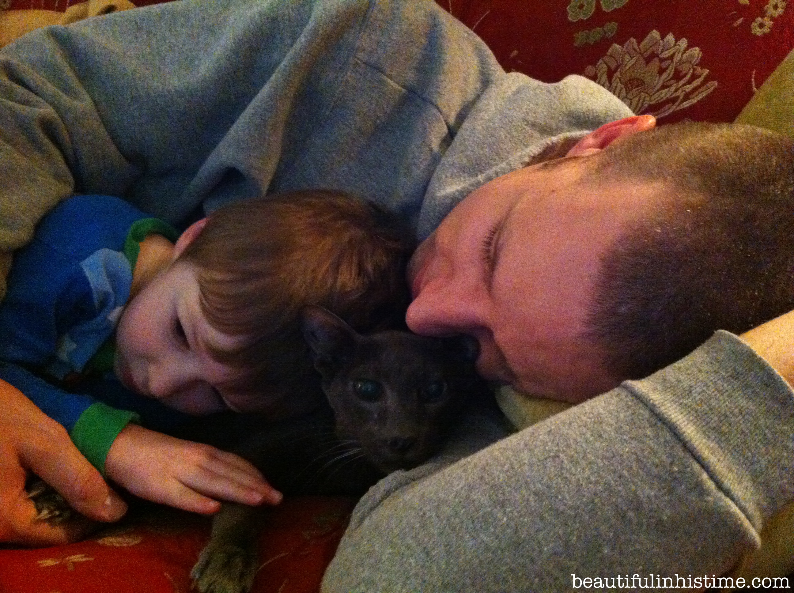 two boys and a kitty