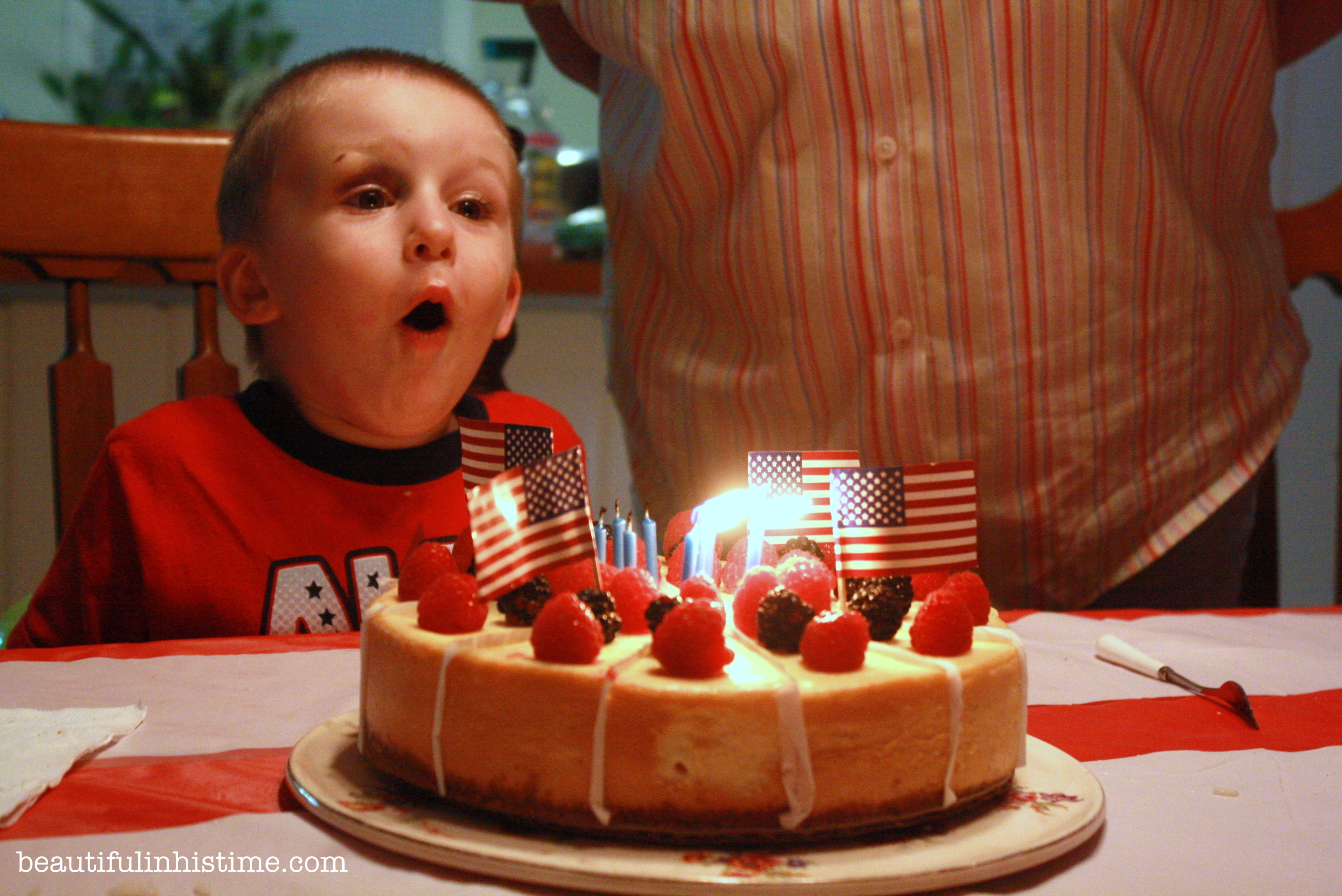 A Birthday Party for America! #birthday #america #4thofjuly #independenceday #party #birthdayparty