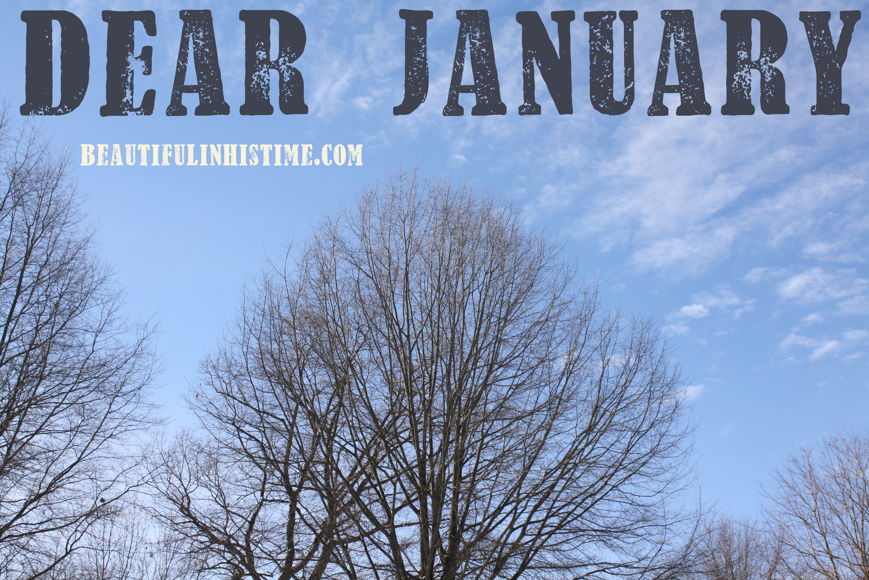 Dear January