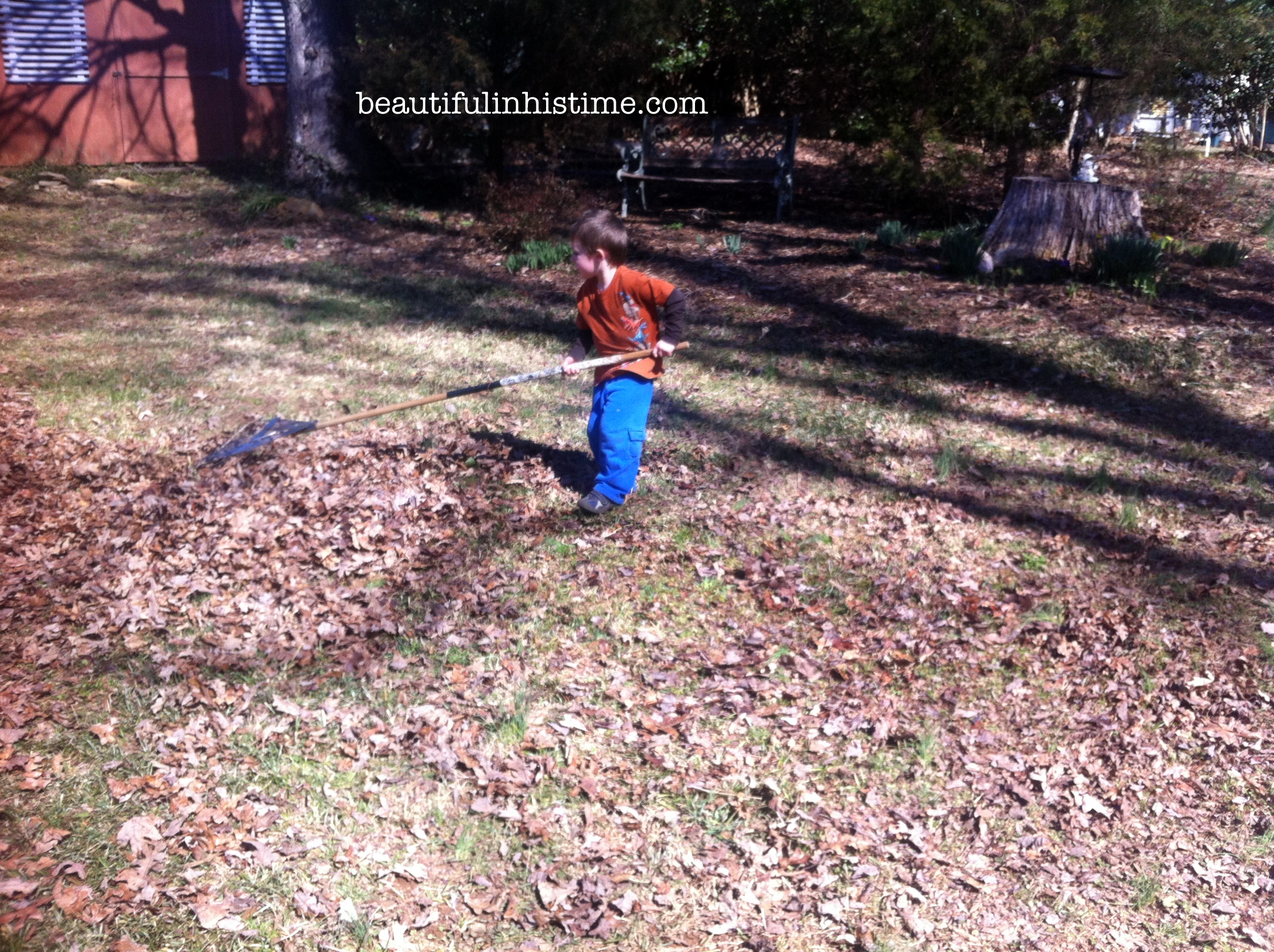 38 raking leaves new house